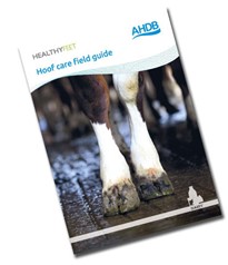 AHDB Hoof care field guide